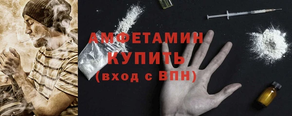 гашик Бородино