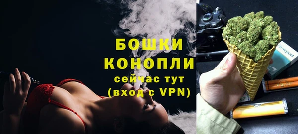 гашик Бородино