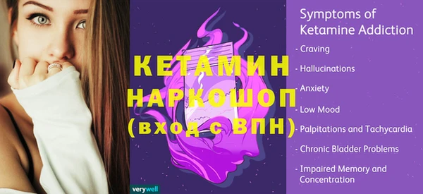 гашик Бородино