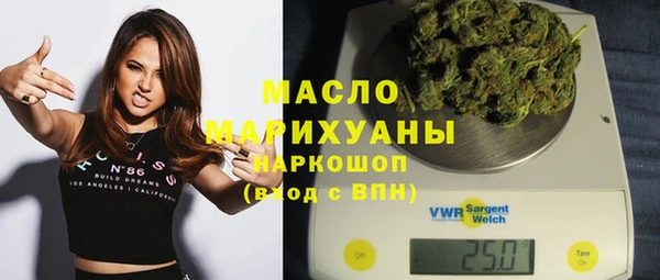 гашик Бородино