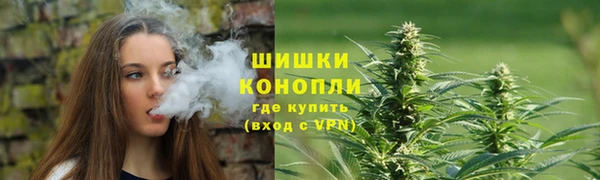 гашик Бородино