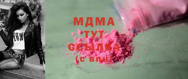 гашик Бородино