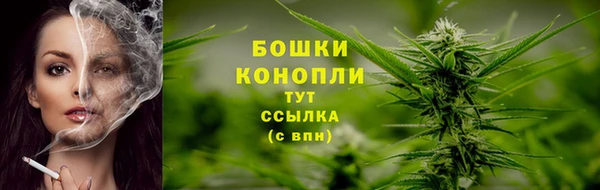 гашик Бородино