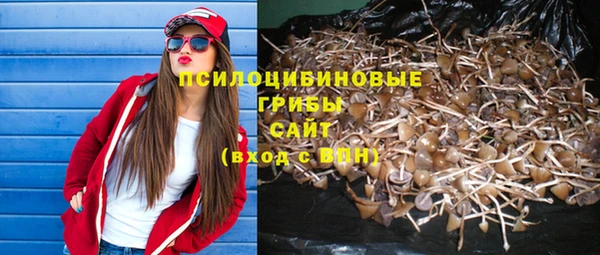 бутират Бугульма